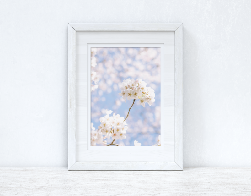 Blossom Tree White Spring Photography Spring Seasonal Wall Home Decor Print