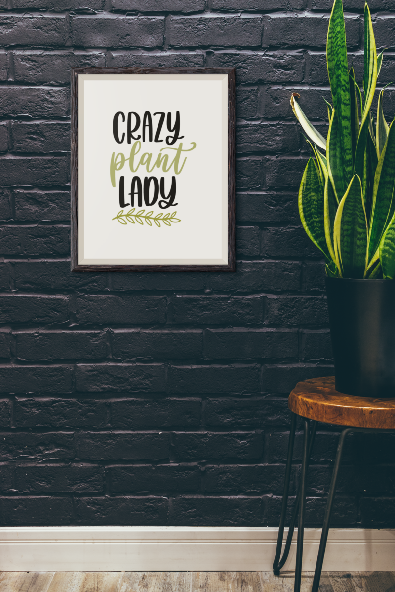 Crazy Plant Lady Plant Obsessed Humorous Home Wall Decor Print - Image 2