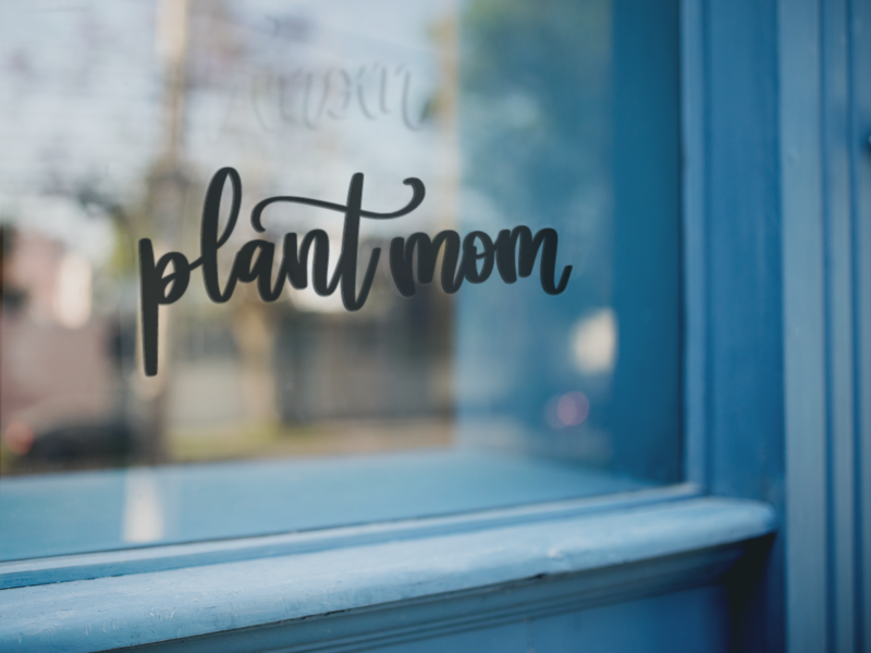 Plant Mom Sticker - Image 2