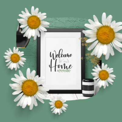 Chamomile Flowers YouTube Profile Picture Chamomile Flowers YouTube Profile Picture